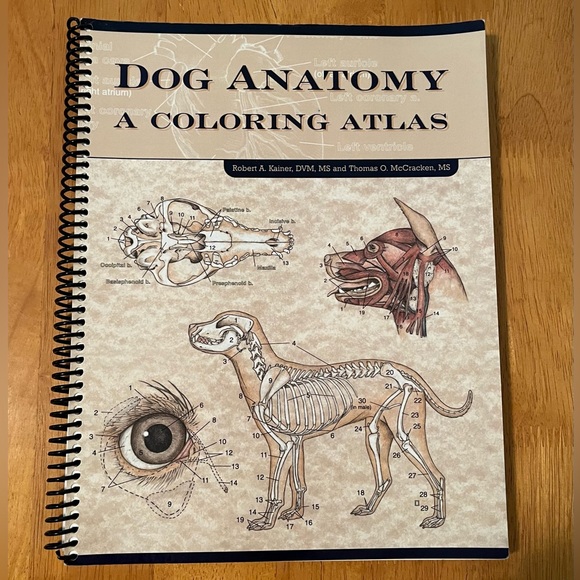 Other | Dog Anatomy Coloring Atlas | Poshmark